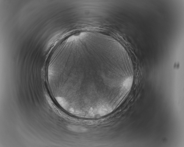 X0000115410002200912011351