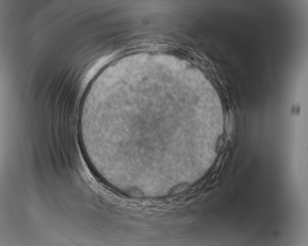 X0000115410003200912011351