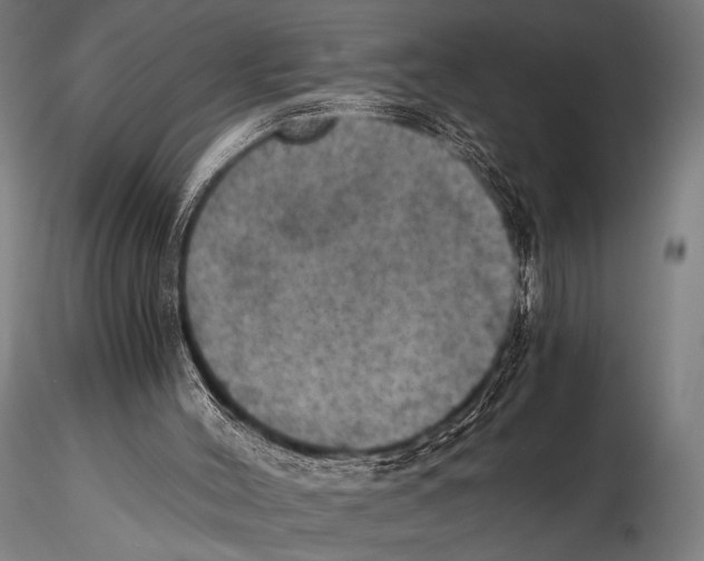 X0000115410004200912011350