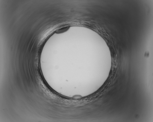 X0000115410005200912011350