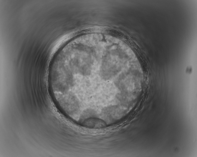 X0000115410006200912011350