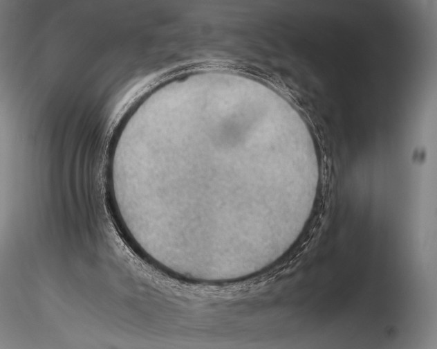 X0000115410007200912011350