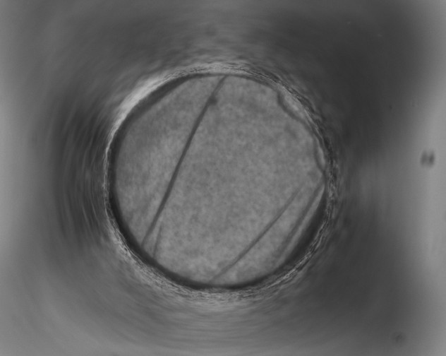 X0000115410008200912011350