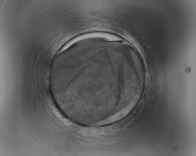 X0000115410009200912011350