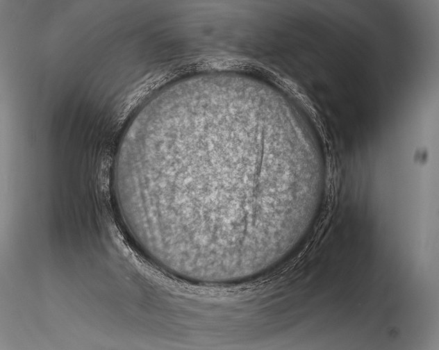 X0000115410010200912011350