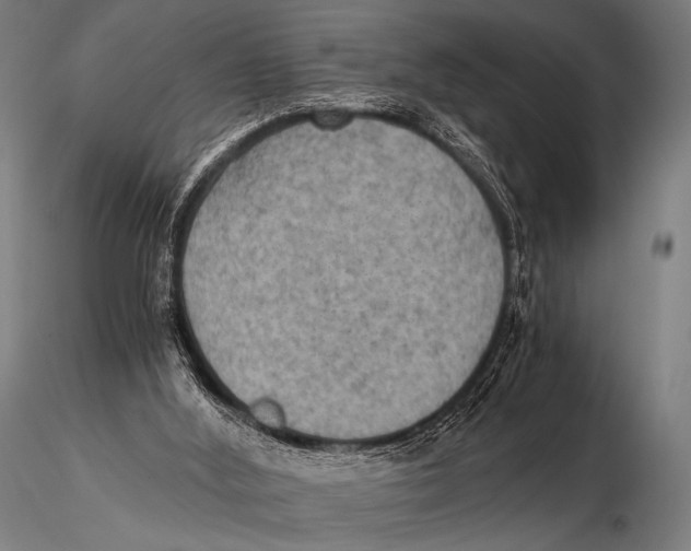 X0000115410012200912011350