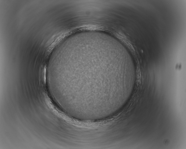 X0000115410014200912011350