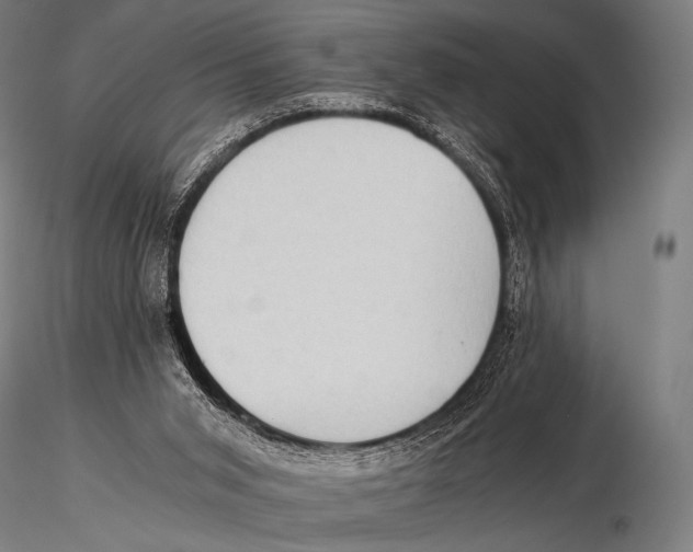 X0000115410015200912011350