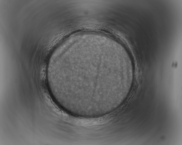 X0000115410017200912011350