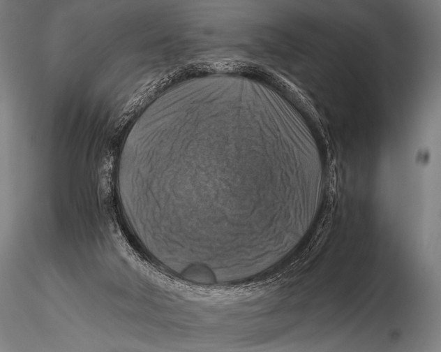 X0000115410018200912011350