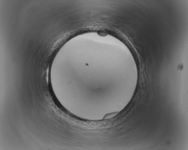 X0000115410019200912011350