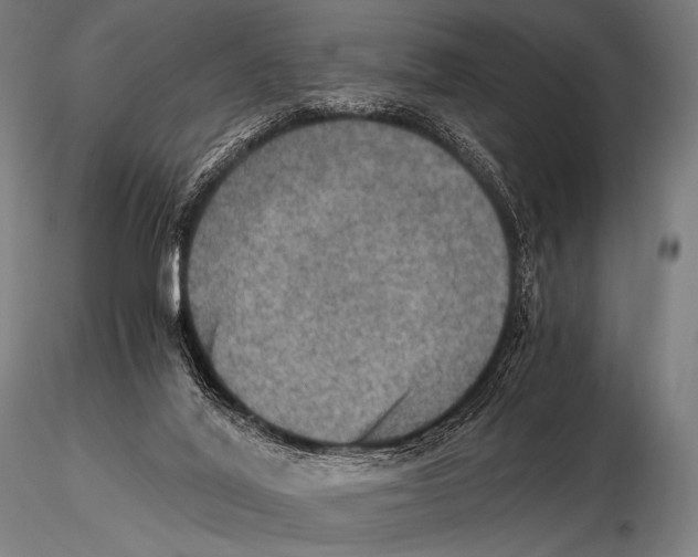 X0000115410020200912011350