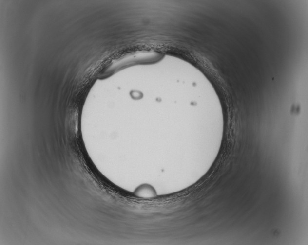 X0000115410021200912011350