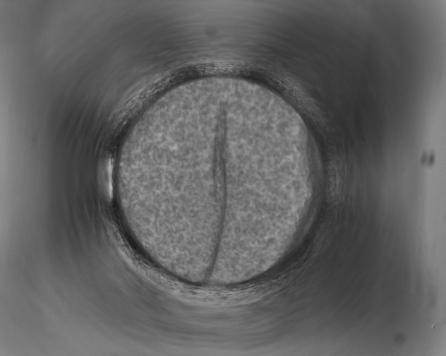 X0000115410022200912011350