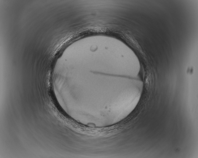 X0000115410023200912011350