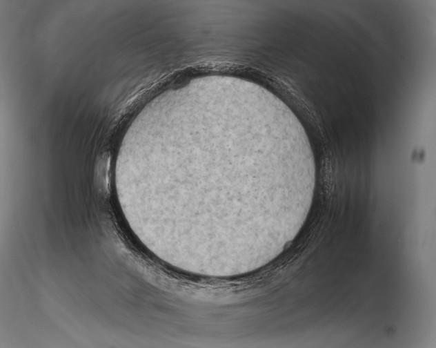 X0000115410024200912011350