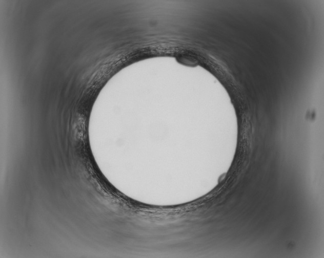 X0000115410025200912011350