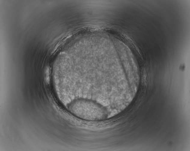 X0000115410026200912011350