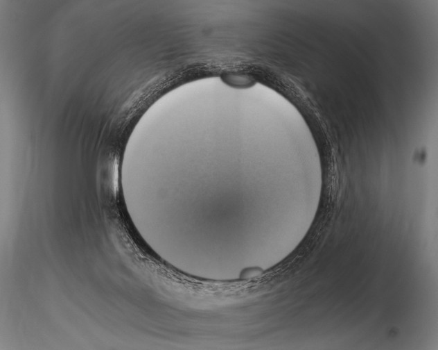 X0000115410027200912011350