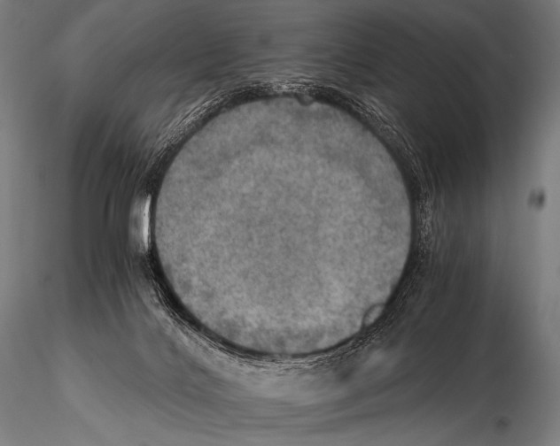 X0000115410028200912011350