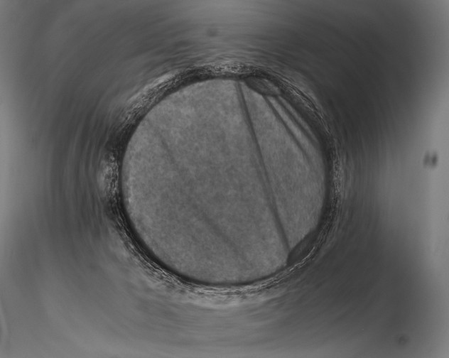 X0000115410029200912011350