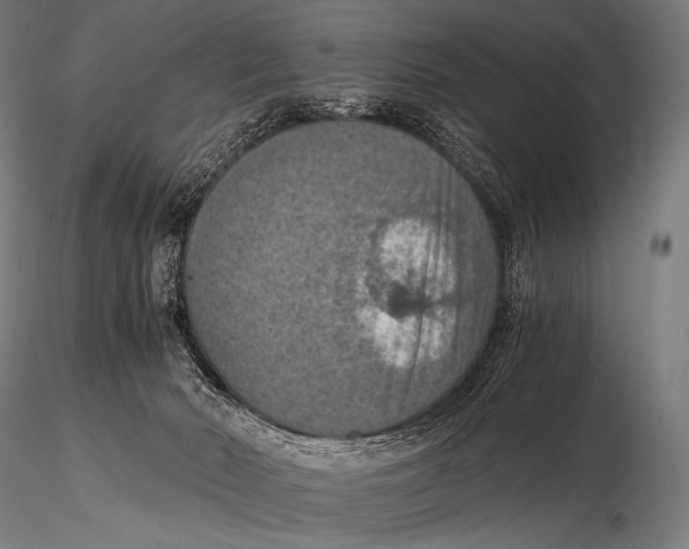 X0000115410030200912011350