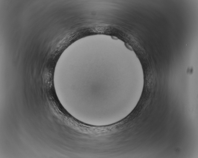 X0000115410031200912011350