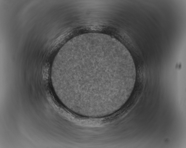 X0000115410032200912011350