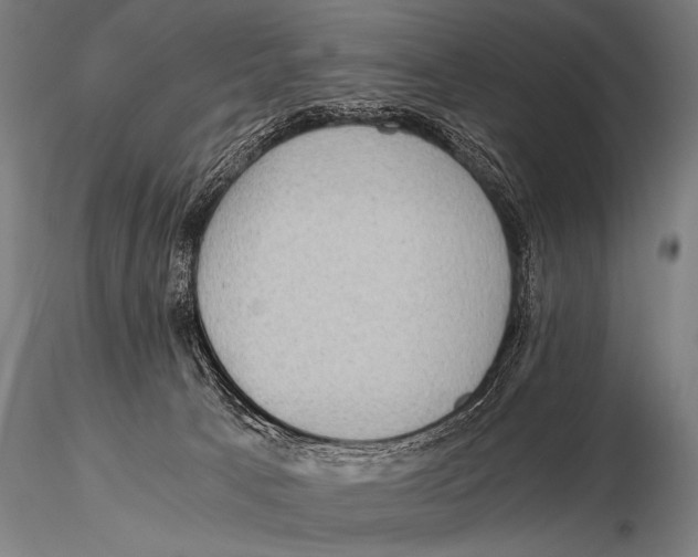 X0000115410033200912011350