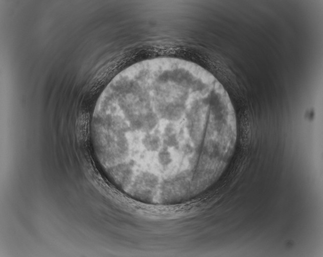 X0000115410034200912011350