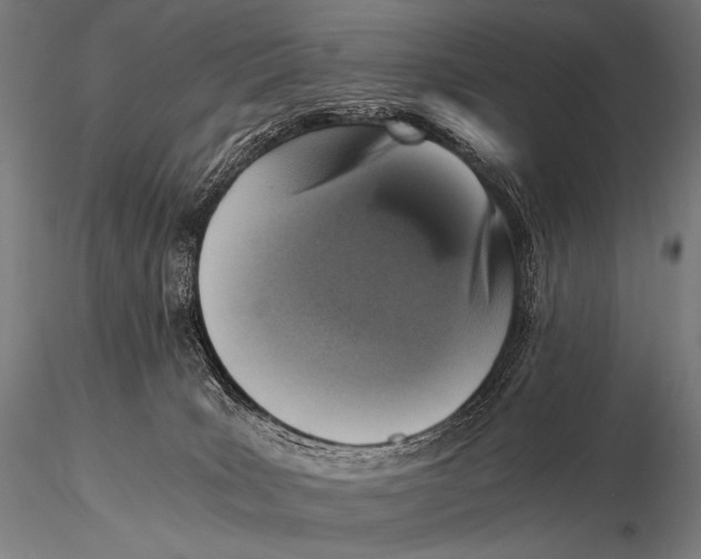 X0000115410035200912011350