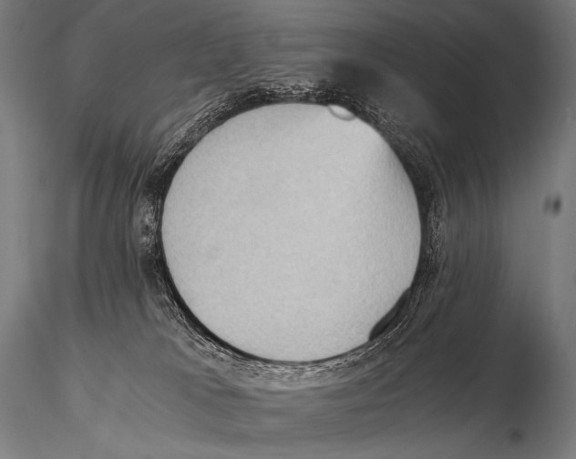 X0000115410037200912011350