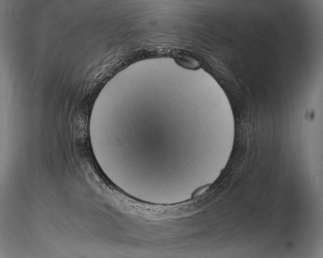 X0000115410039200912011350