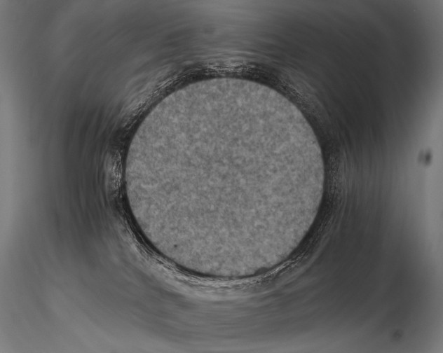 X0000115410040200912011350