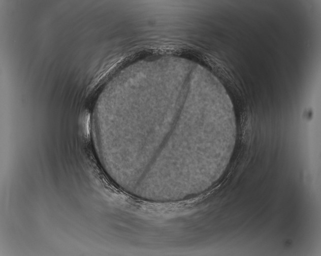 X0000115410041200912011350