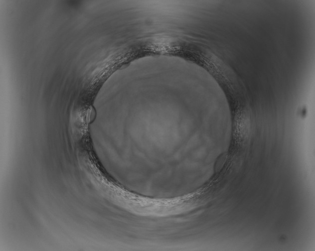 X0000115410043200912011350