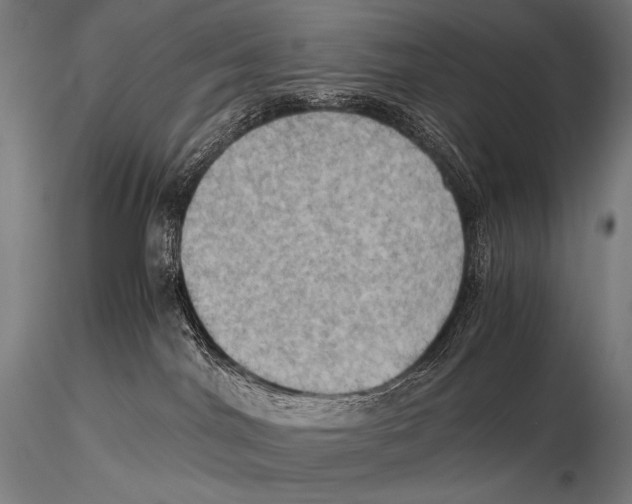 X0000115410044200912011350