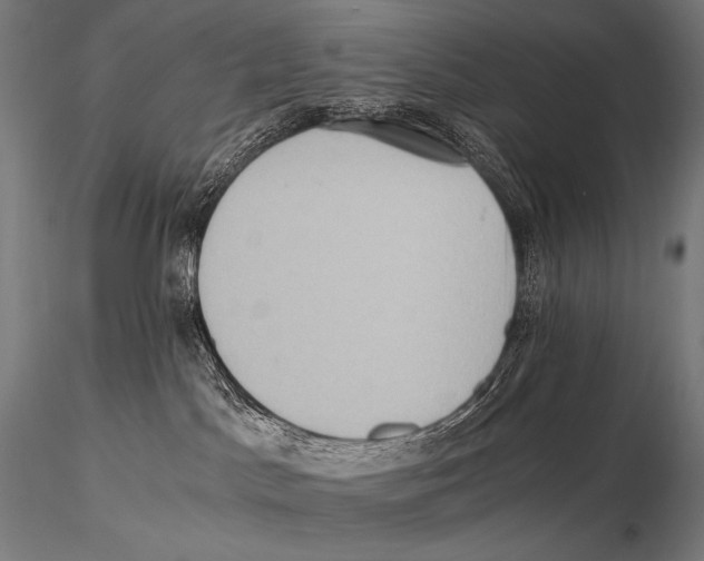 X0000115410045200912011350