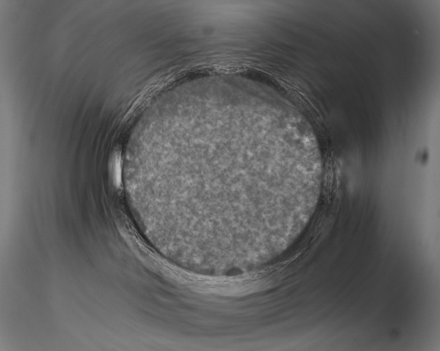 X0000115410046200912011350