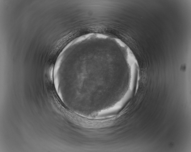 X0000115410047200912011350