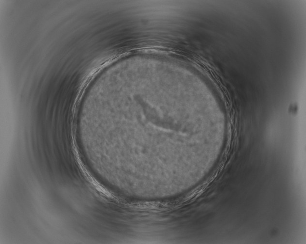 X0000115410049200912011349