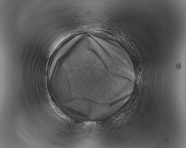 X0000115410052200912011349