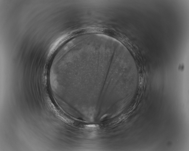 X0000115410053200912011349