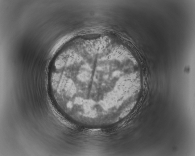 X0000115410054200912011349