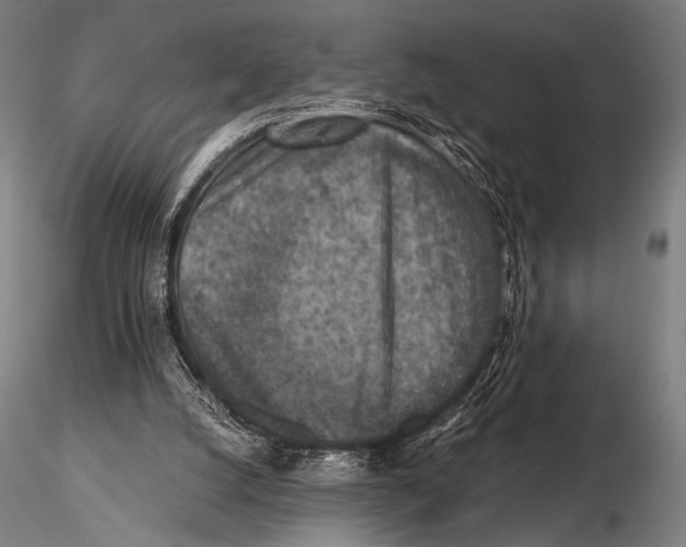 X0000115410056200912011349