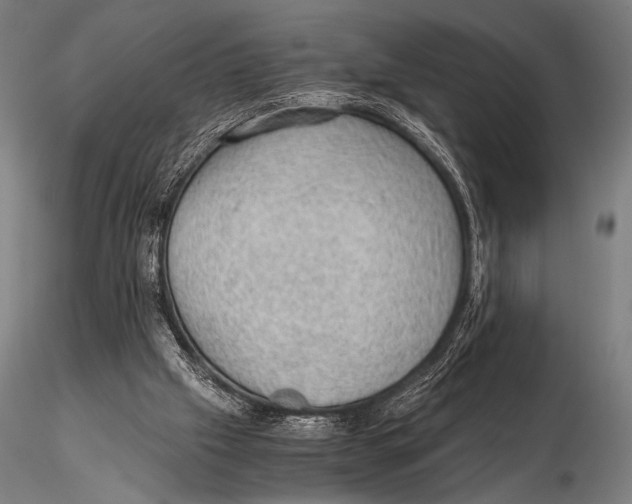 X0000115410057200912011349