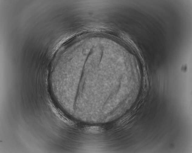 X0000115410058200912011349