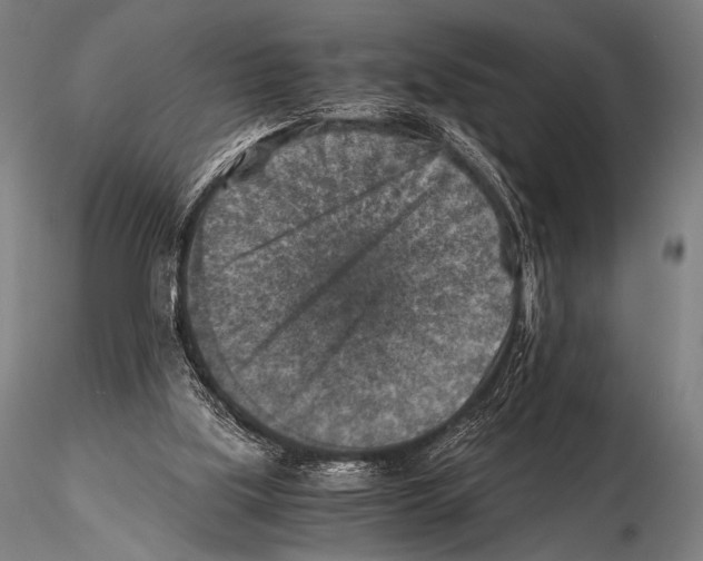 X0000115410059200912011349