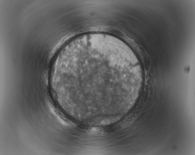 X0000115410060200912011349