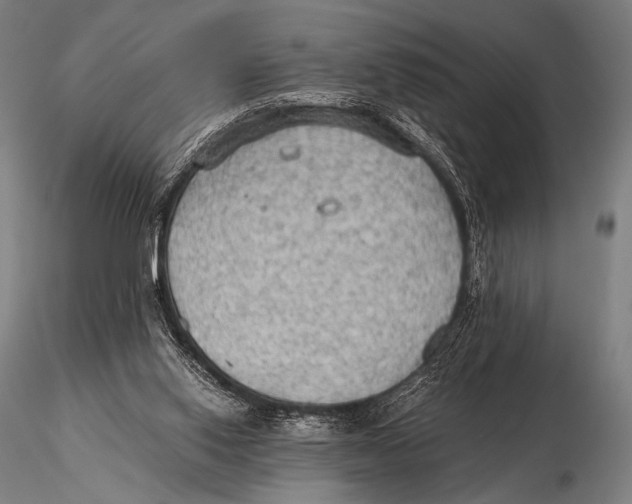 X0000115410062200912011349